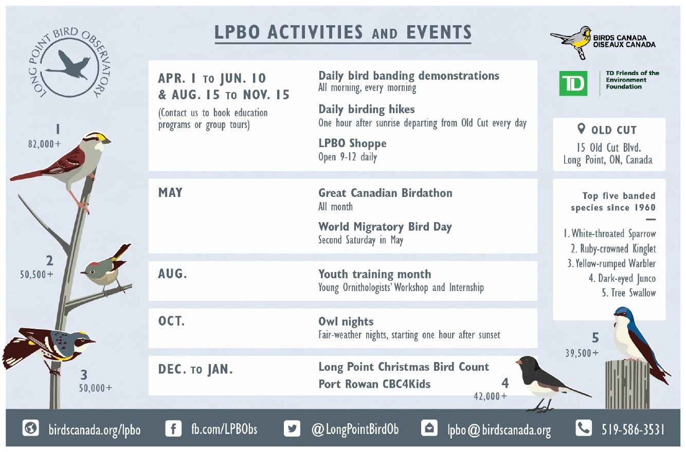 长角雀鸟天文台每月活动及活动一览表