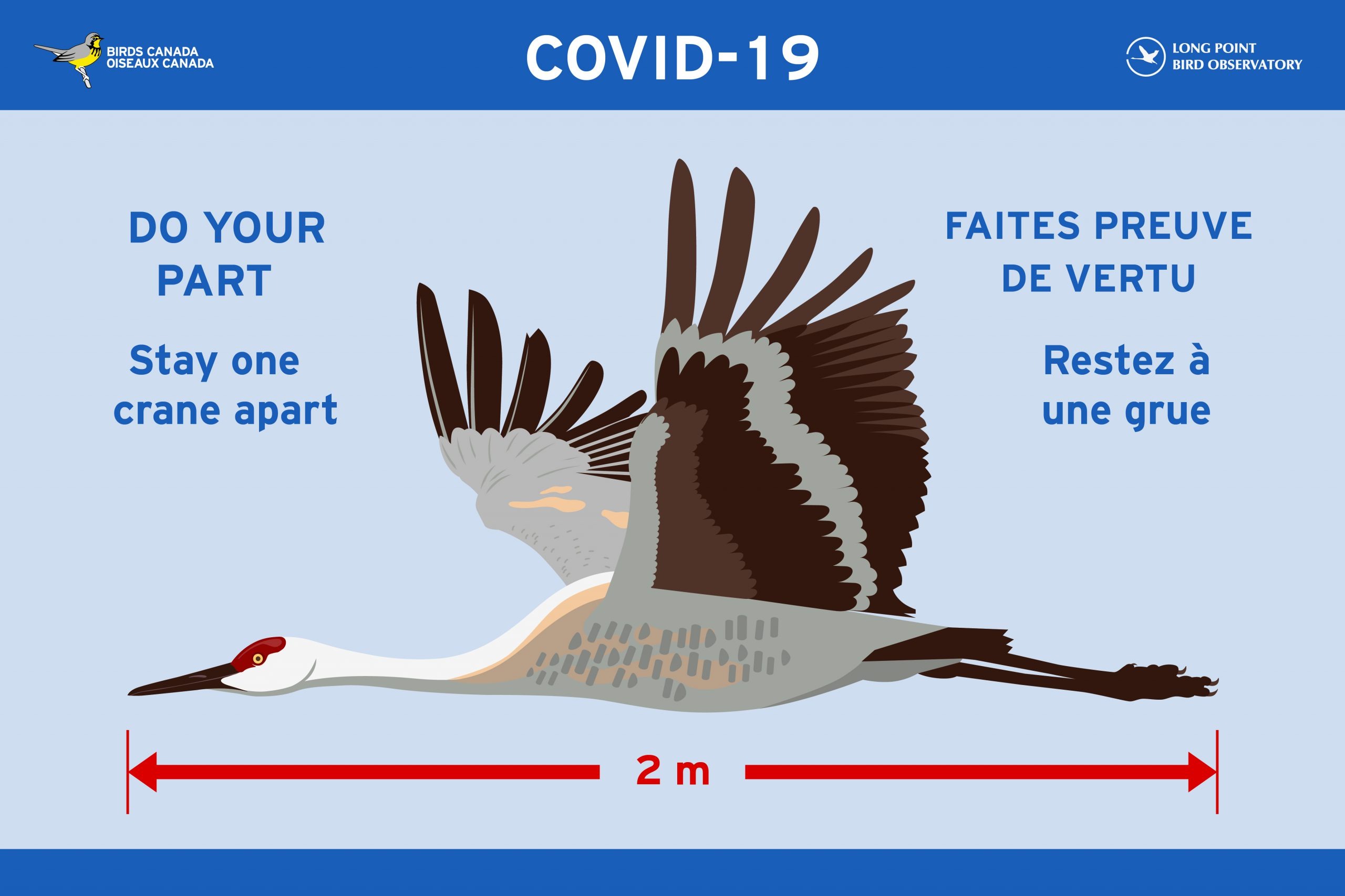 一个鼓励保持2米社交距离的彩色Covid-19标志. 这个标志上有美丽的沙丘鹤在飞行，标题是“尽你的一份力:保持一只鹤的距离”