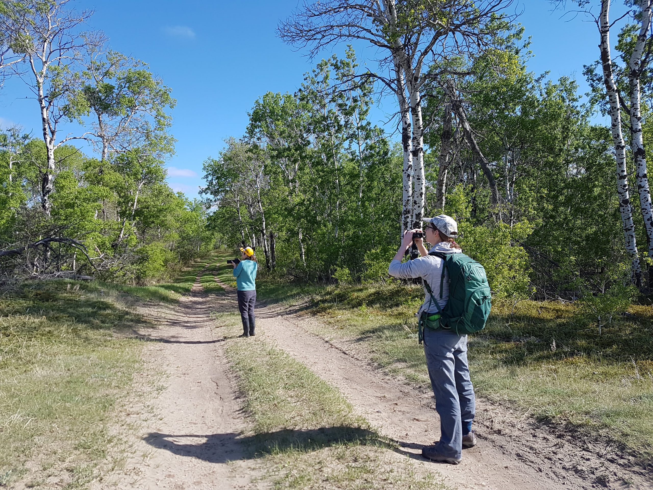 志愿者们用双筒望远镜观察森林里的一条双轨公路