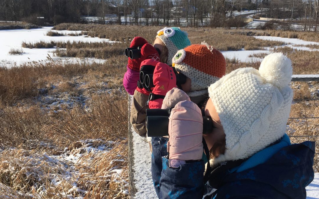 An early blast of winter weather didn’t stop Canadians from counting