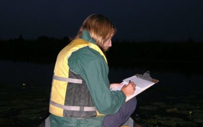 志愿者机会:五大湖沼泽监测计划