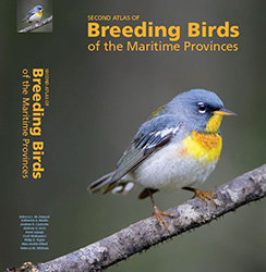Introducing the Maritimes Breeding Bird Atlas!