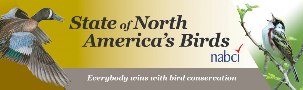 The State of North America’s Birds