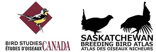 Saskatchewan Breeding Bird Atlas Takes Flight