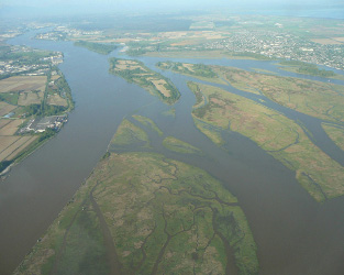 BC’s Fraser Estuary Featured at Salish Sea Ecosystem Conference