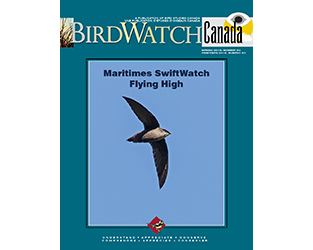 Pour un printemps planant… le dernier numéro de BirdWatch Canada