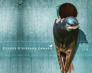 Notre rapport annuel 2018 et le magazine BirdWatch Canada
