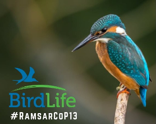 Ramsar Conference Leads to Positive Steps for Coastal Wetlands and Fraser Delta