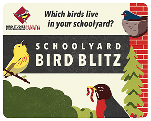 Kids Go Wild for the Schoolyard Bird Blitz!