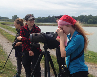 Opportunities for Young Ornithologists Across the Country