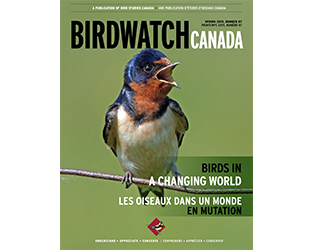 A New Look for BirdWatch Canada