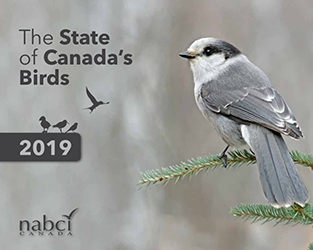 A New Report on the State of Canada’s Birds