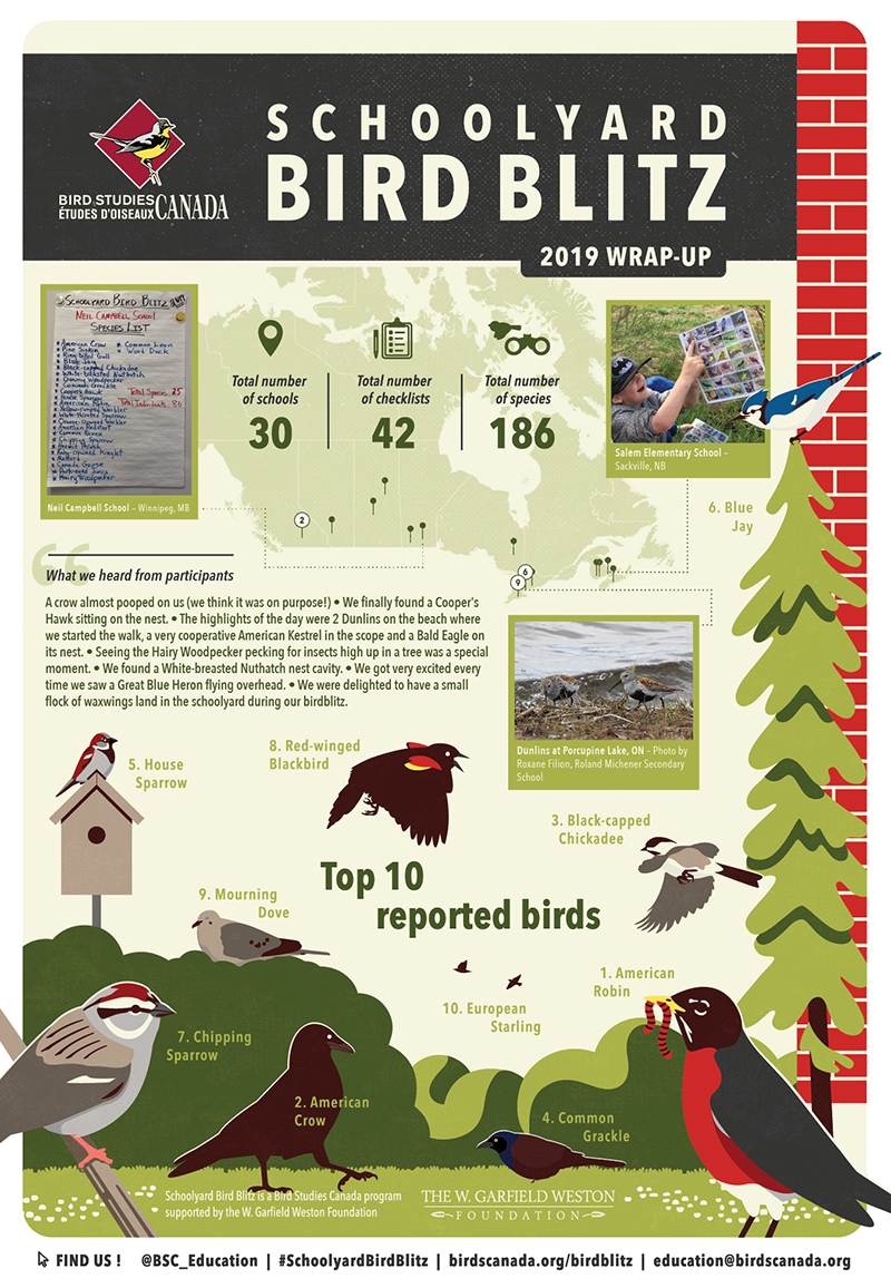 Students at 30 Schools Count Their Local Birds for Science