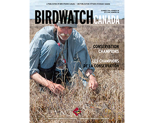 Inspiring Summer Reading in BirdWatch Canada