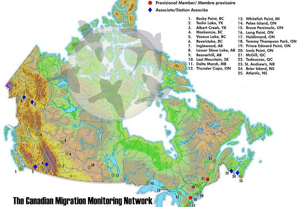 Canadian Migration Monitoring Network (CMMN)