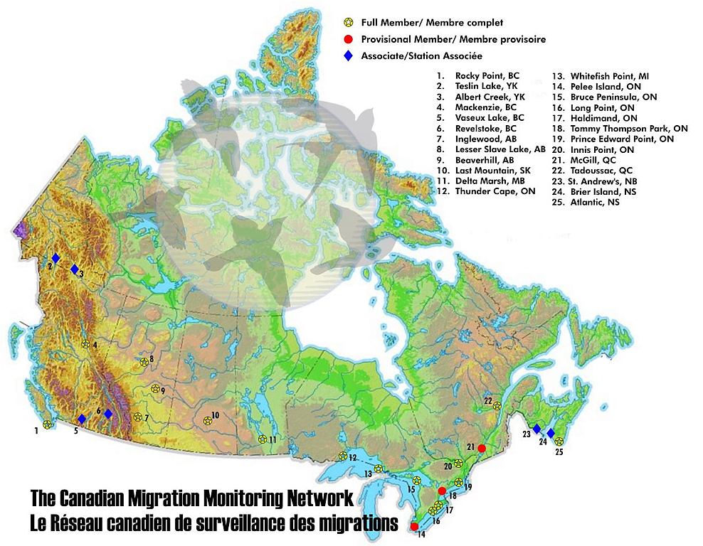 The Candian Migration Monitoring