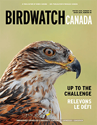 See your support in action in the latest issue of BirdWatch Canada