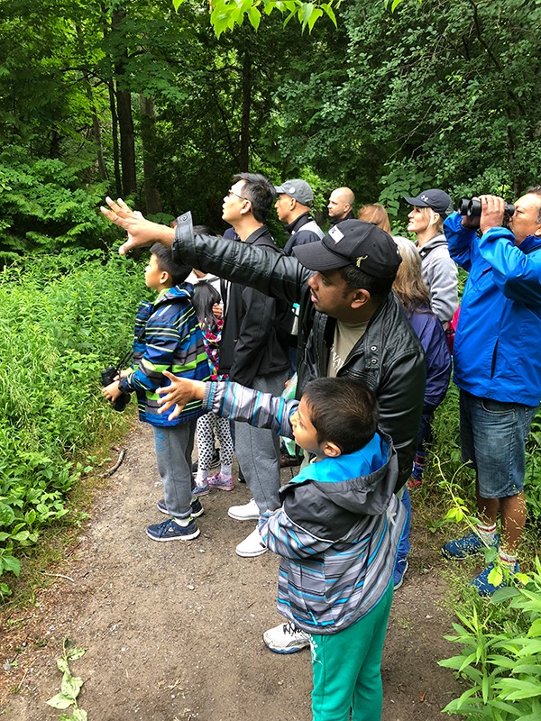 A group of birders of diverse ages looking intently at a bird in the trees