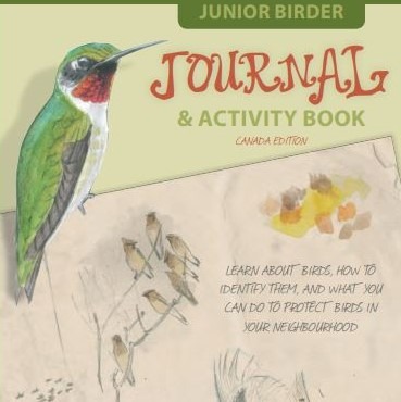 Link to Junior Birder Guide. The cover of the Junior Birder Guide features a sketch of several birds, including a beautiful male Ruby-throated Hummingbird
