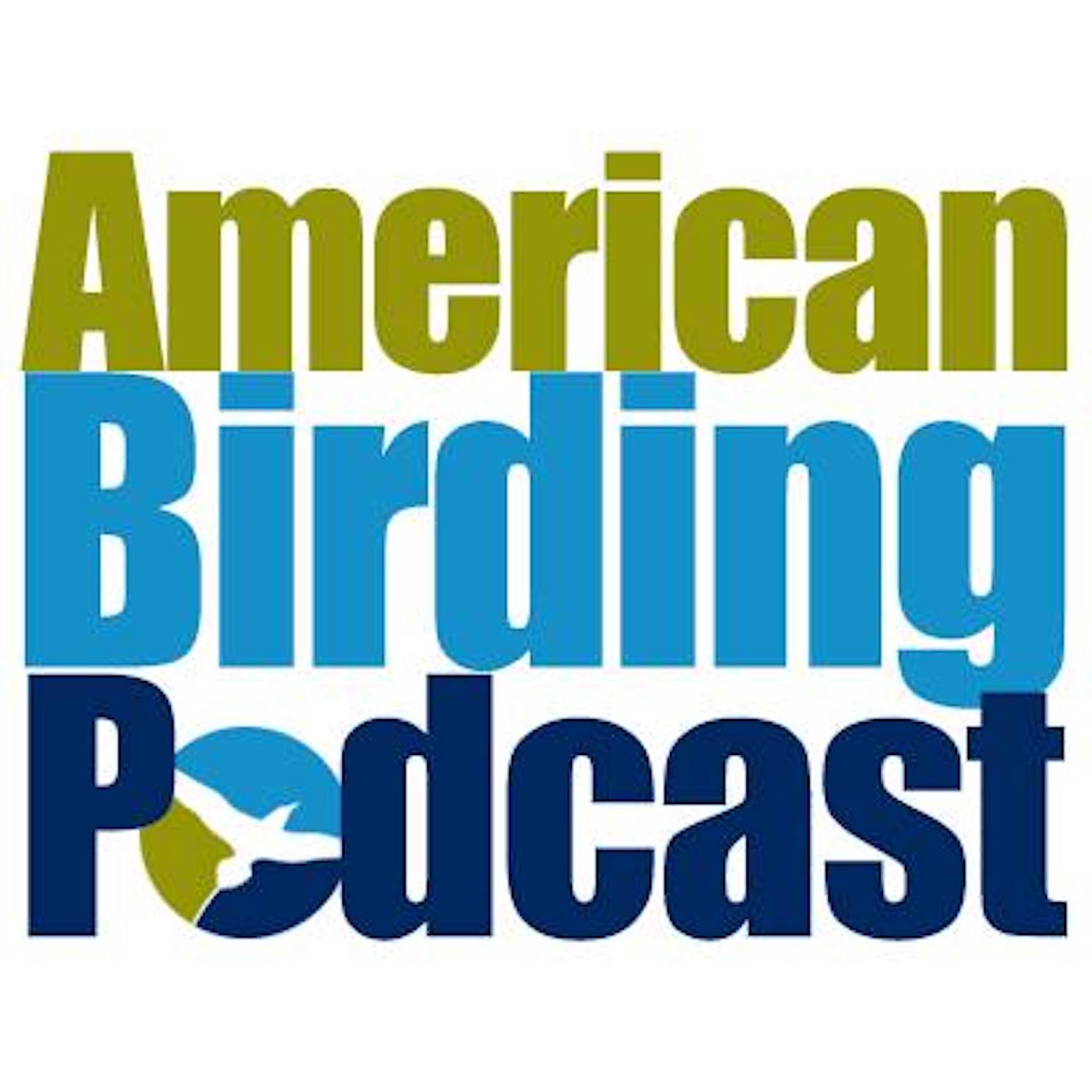 Link to ABA American Birding Podcast. 
