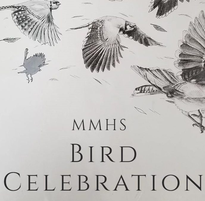 MMHS Bird Celebration