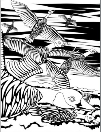 MMHS_I am a Bird 3_credit High School Student