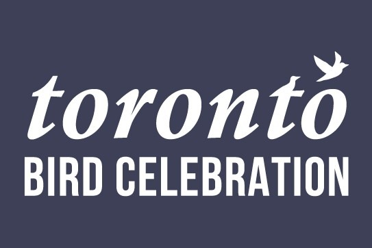 Toronto Bird Celebreation
