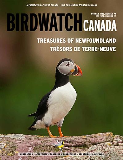 Updates for members_Front cover_BWCsu20