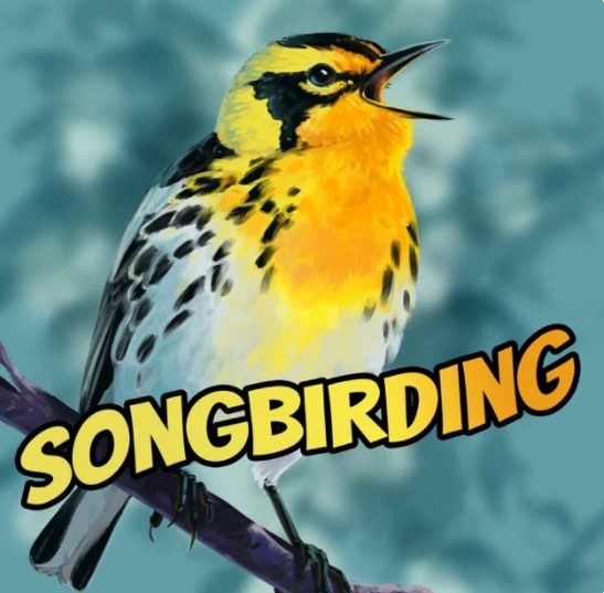 Link to Songbirding Podcast. 