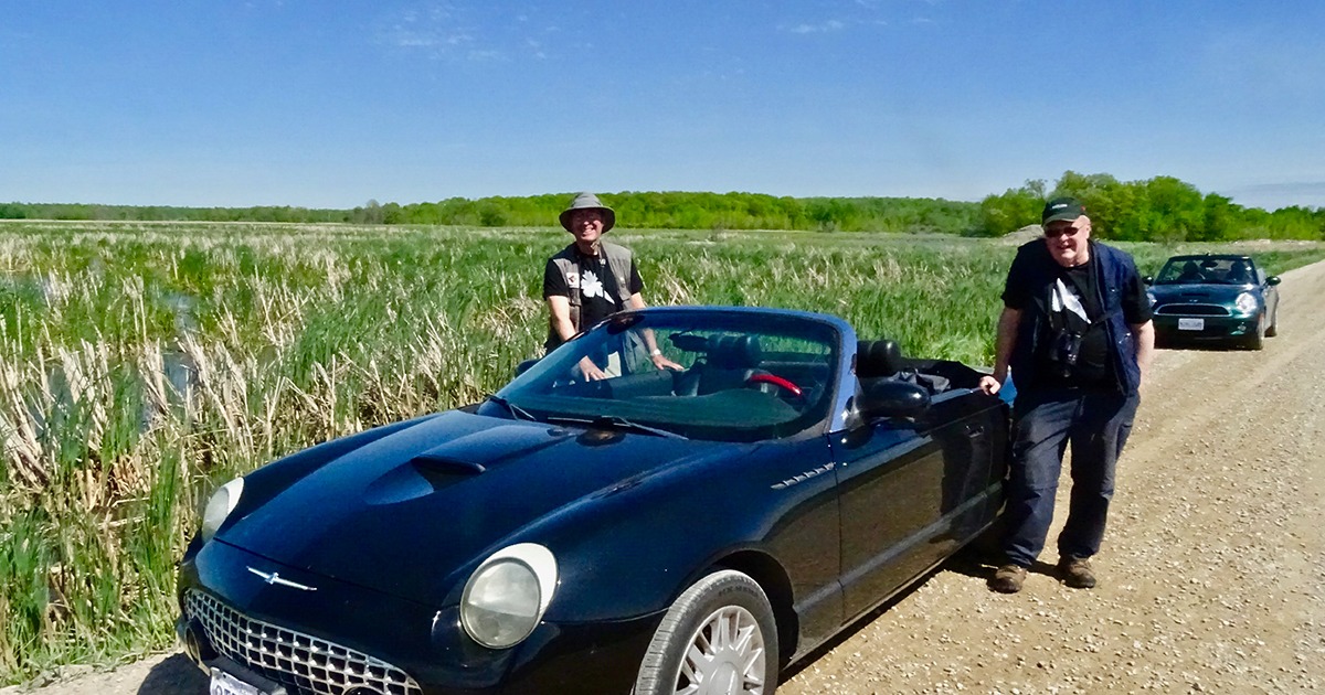 Two members of the Warbler Hunters stand beside their vehicles and are clearly enjoying their Birdathon day