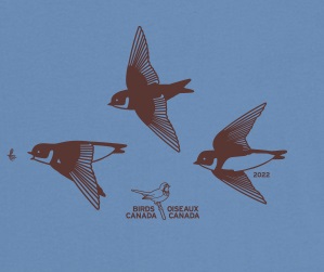 Meet the Bank Swallow – the star of our 2022 Birdathon shirt!