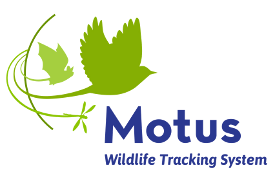 motus logo