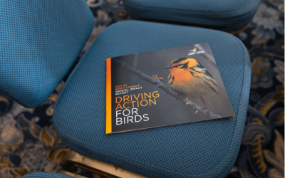 Make a Difference for Birds and Biodiversity: Join Birds Canada’s Board of Directors