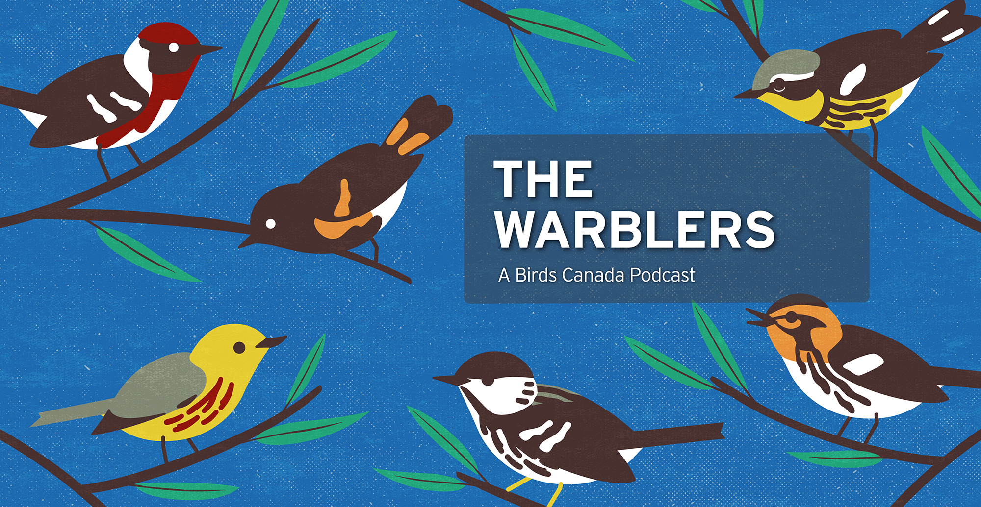 The Warblers Birding Podcast - Birds Canada