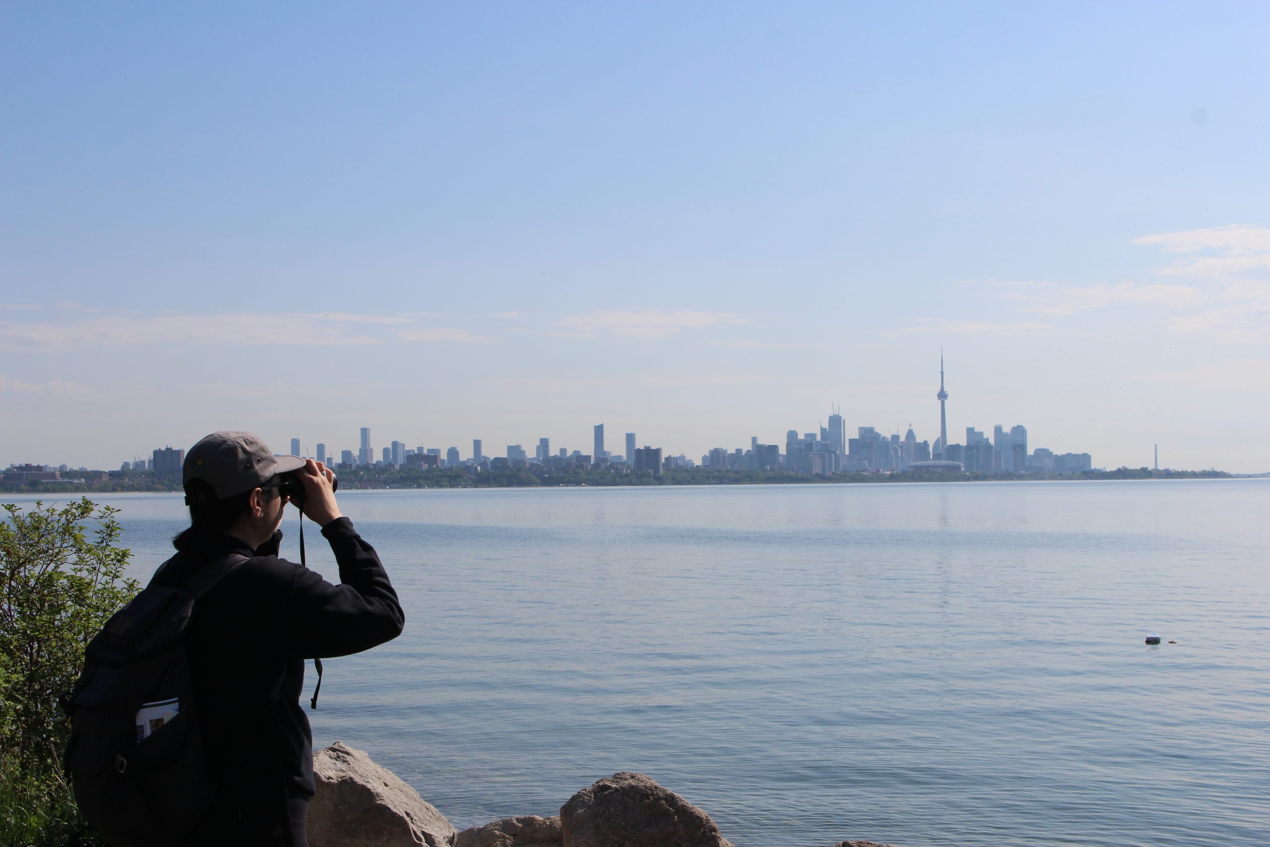 A person looks out across the water to Toronto's skyline.