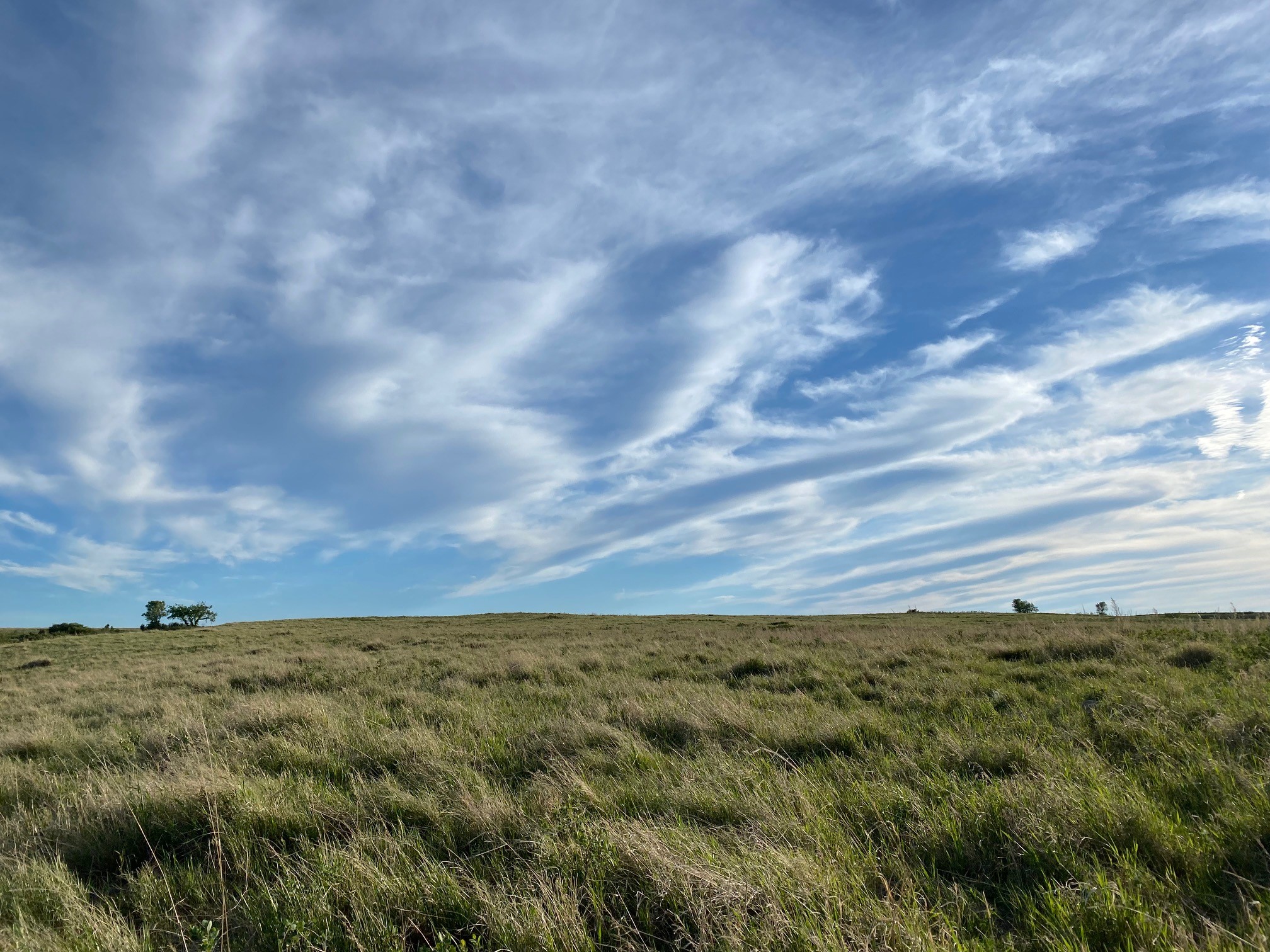Landscape of a grassland with big sky and scattered clouds. 
