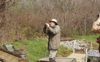 Bruce Falls, an enduring conservation legacy